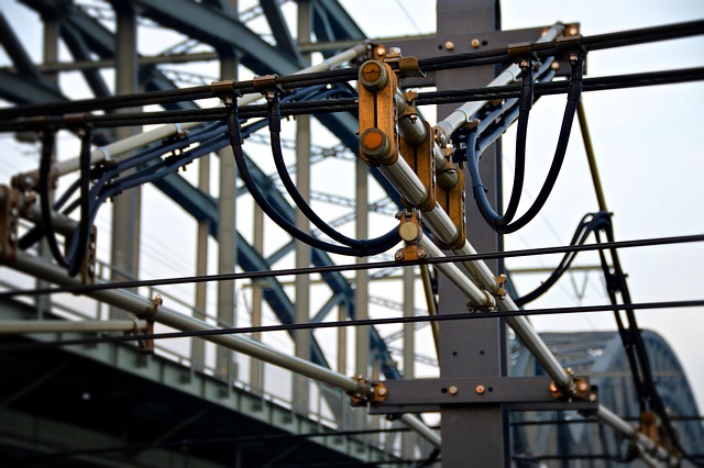 Hình ảnh minh họa ý nghĩa của từ chromosomal aberration