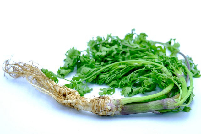 Hình ảnh minh họa ý nghĩa của từ cilantro