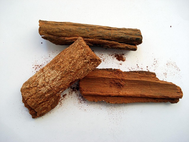 cinchona