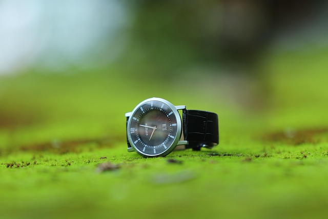 Hình ảnh minh họa ý nghĩa của từ citizen