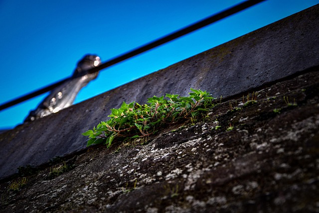 Hình ảnh minh họa ý nghĩa của từ city growth