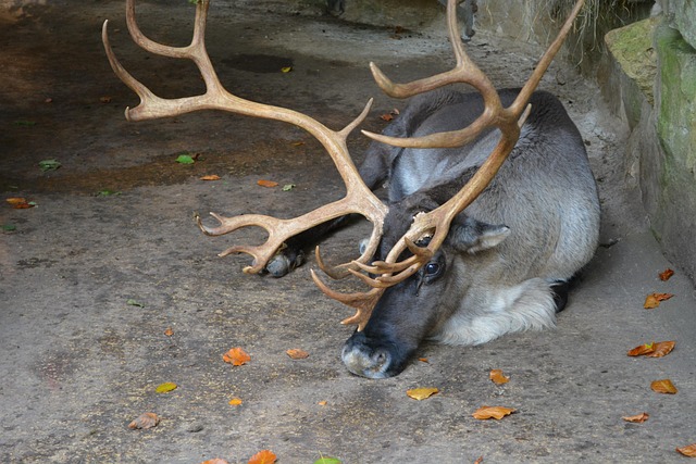 Hình ảnh minh họa ý nghĩa của từ claimed territory