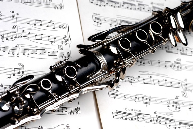 Hình ảnh minh họa ý nghĩa của từ clarinet