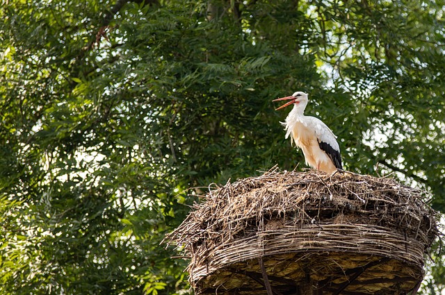 Hình ảnh minh họa ý nghĩa của từ clatter