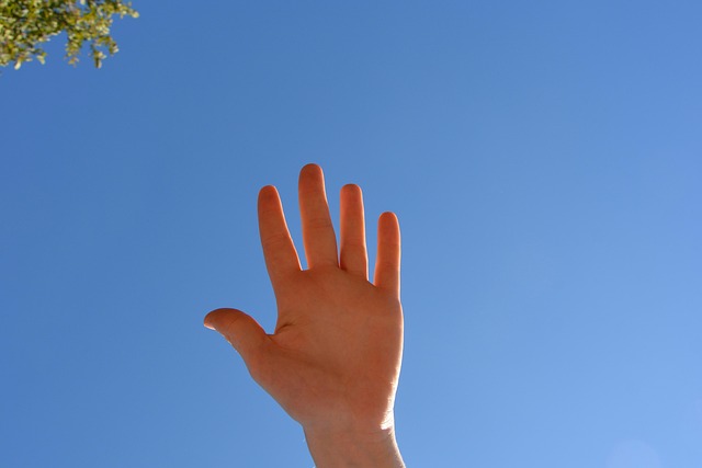 Hình ảnh minh họa ý nghĩa của từ clear articulation