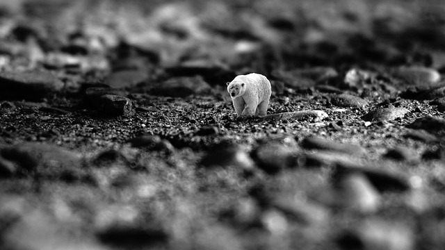 Hình ảnh minh họa ý nghĩa của từ climate science