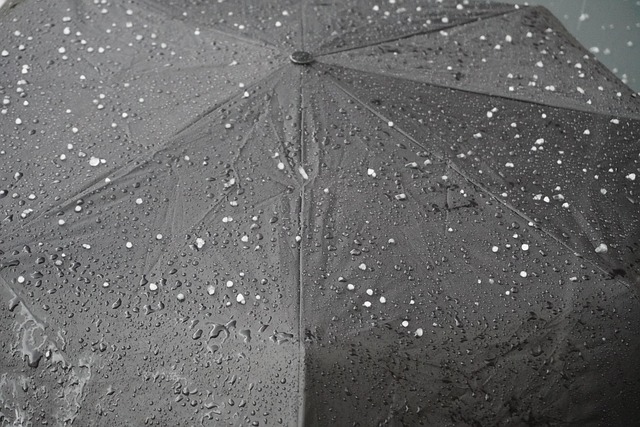 Hình ảnh minh họa ý nghĩa của từ climatic conditions