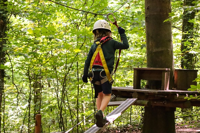 climbing harness