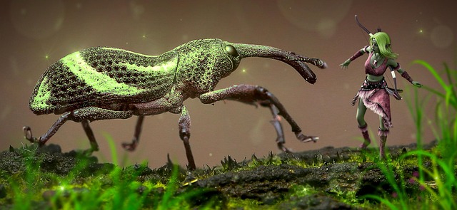 Hình ảnh minh họa ý nghĩa của từ close encounter