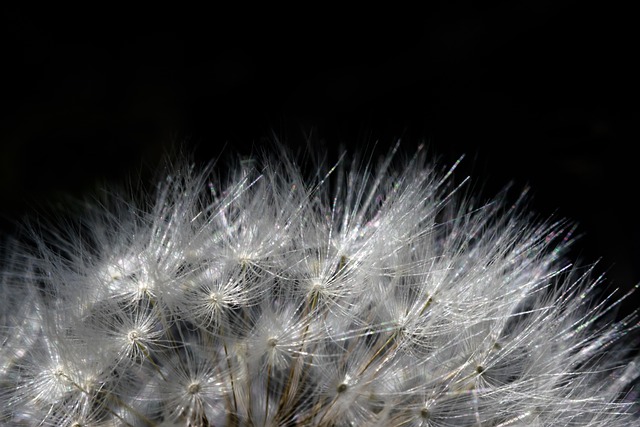 Hình ảnh minh họa ý nghĩa của từ closed captions