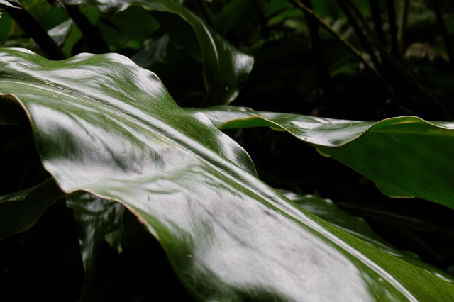 Hình ảnh minh họa ý nghĩa của từ closing costs