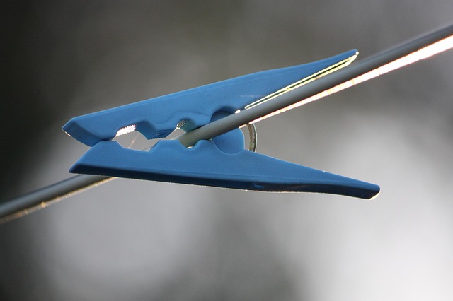 clothes peg