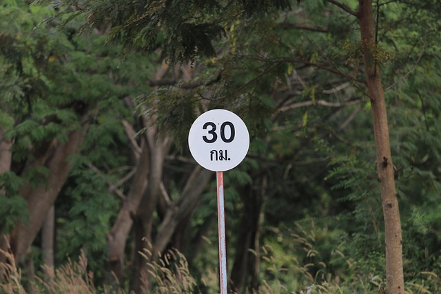 Hình ảnh minh họa ý nghĩa của từ clue