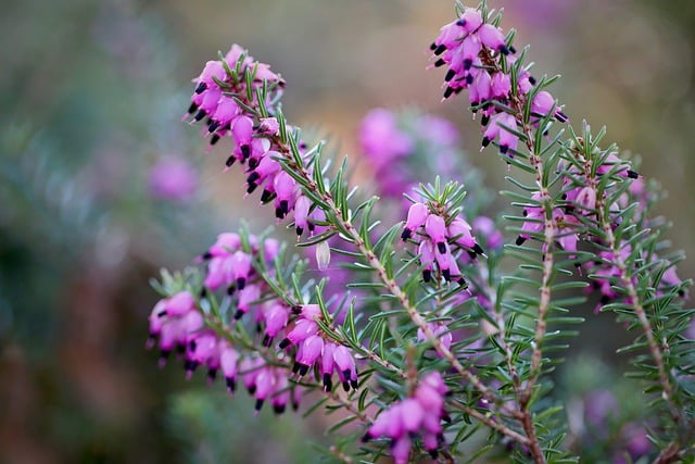 Hình ảnh minh họa ý nghĩa của từ clustering