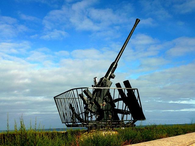 Hình ảnh minh họa ý nghĩa của từ coastal defense