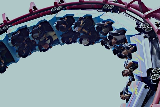 Hình ảnh minh họa ý nghĩa của từ coaster