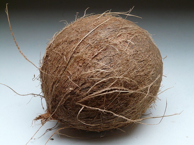 coconut fiber