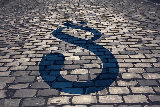 Hình ảnh minh họa ý nghĩa của từ codex