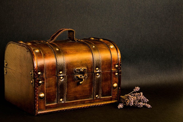 Hình ảnh minh họa ý nghĩa của từ coffer