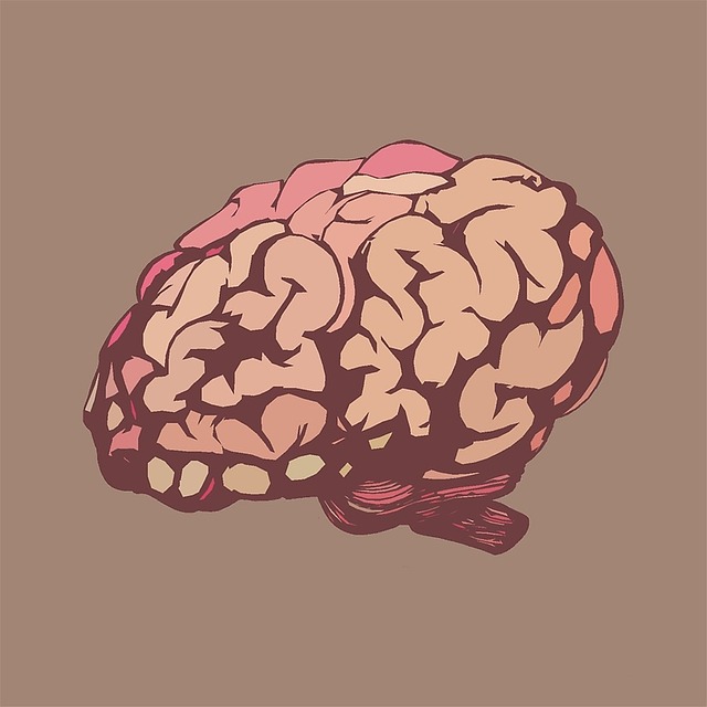 cognitive science