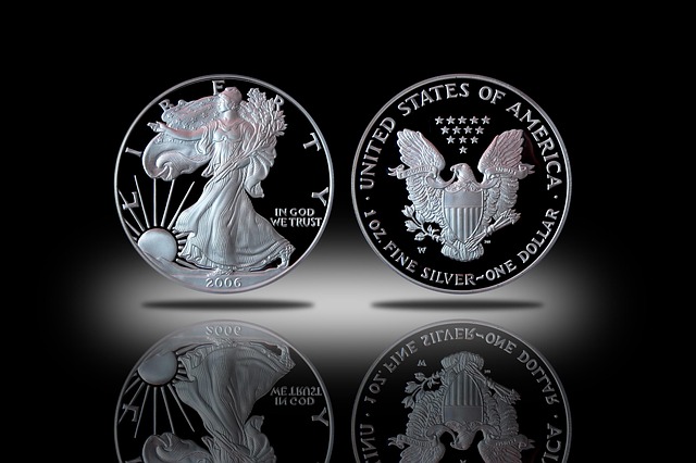 coin collector