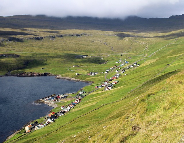 collective settlement