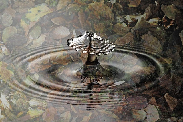 Hình ảnh minh họa ý nghĩa của từ collide