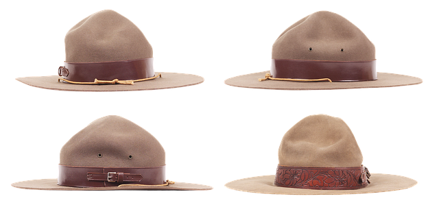 Hình ảnh minh họa ý nghĩa của từ colonists