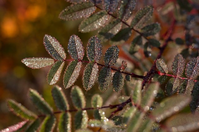 Hình ảnh minh họa ý nghĩa của từ color consistency