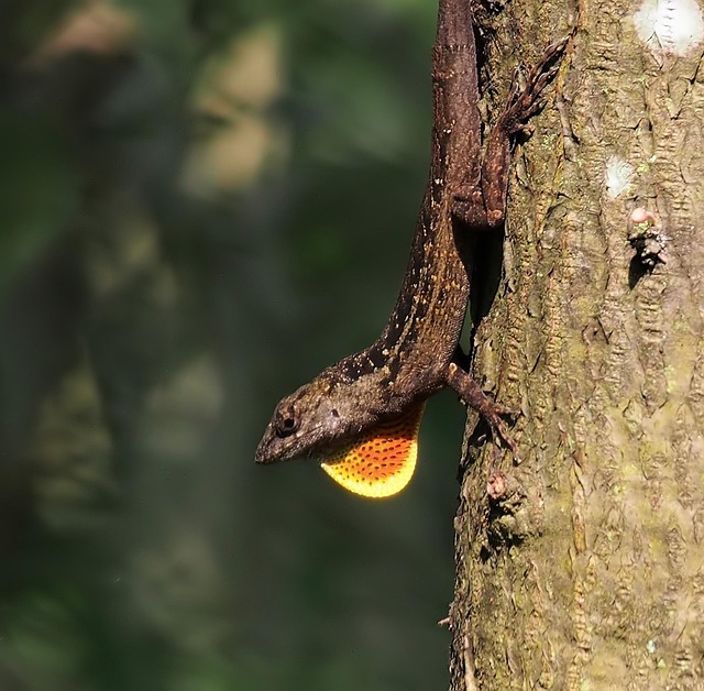 Hình ảnh minh họa ý nghĩa của từ color trapping