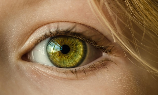 color vision