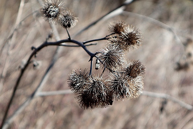 Hình ảnh minh họa ý nghĩa của từ colorless