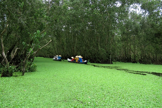 Hình minh họa araya girmek