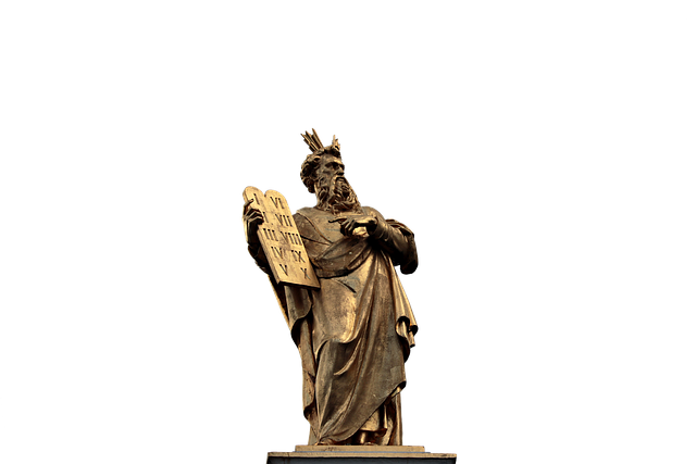 Hình ảnh minh họa ý nghĩa của từ commandeering