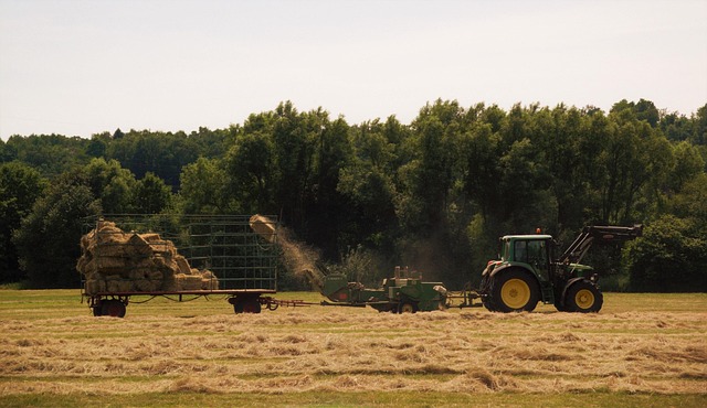 commercial farm