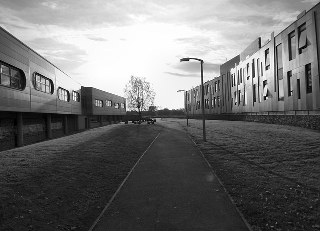 Hình ảnh minh họa ý nghĩa của từ commercial success