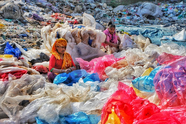 community cleanup