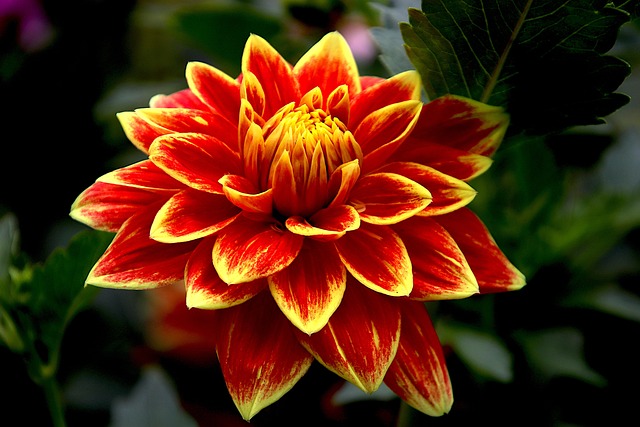 Hình ảnh minh họa ý nghĩa của từ competitive edge