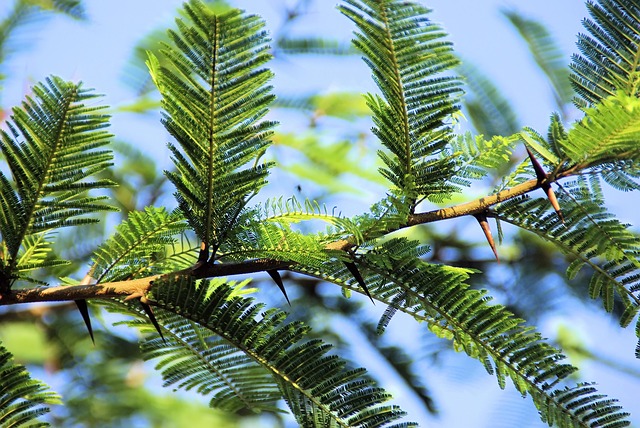 Hình ảnh minh họa ý nghĩa của từ composed