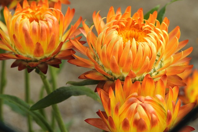 Hình ảnh minh họa ý nghĩa của từ composite material