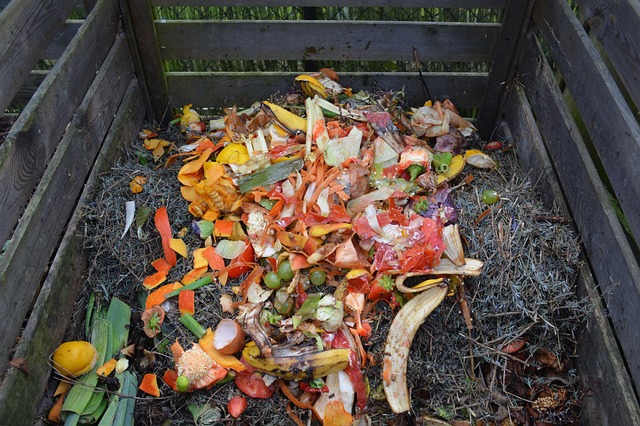 compost bin