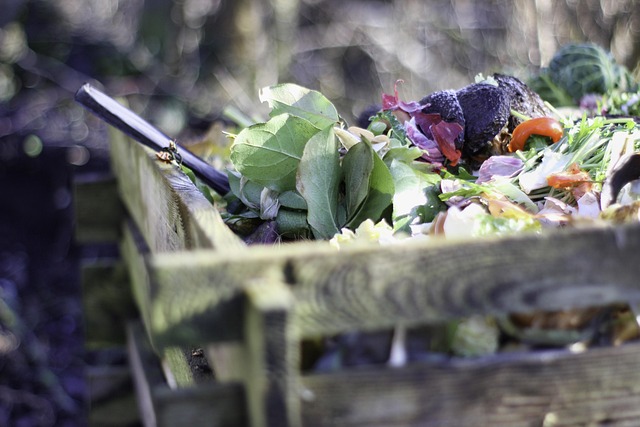 compost plant
