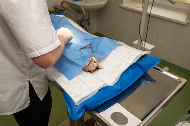 compulsory sterilization
