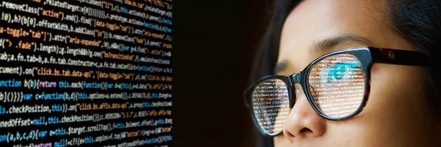 computer scientist
