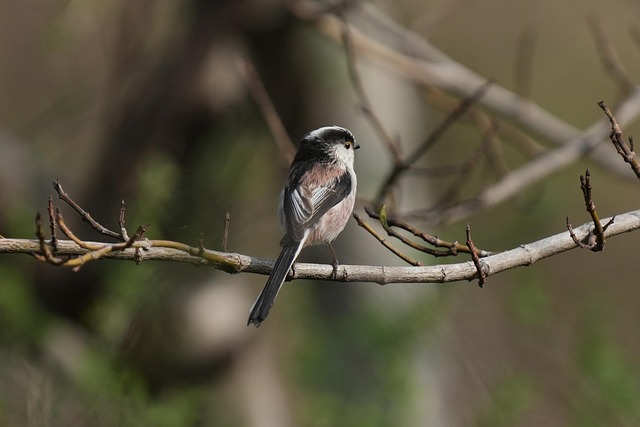 Hình ảnh minh họa ý nghĩa của từ concave