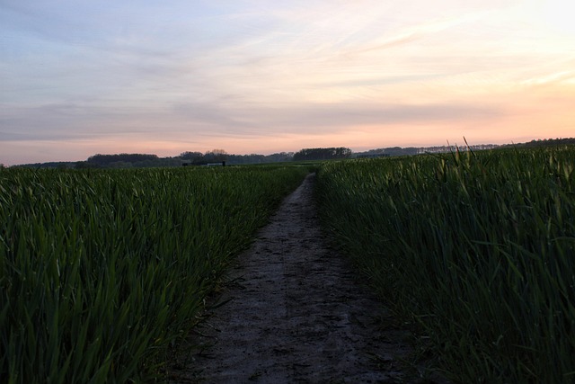Hình ảnh minh họa ý nghĩa của từ condemn