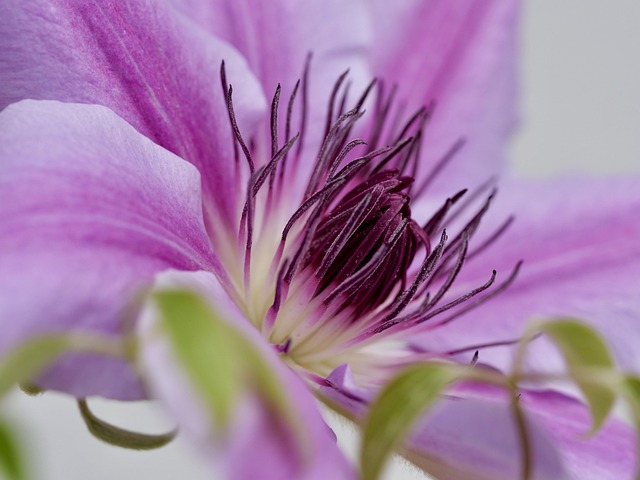 Hình ảnh minh họa ý nghĩa của từ conditioned