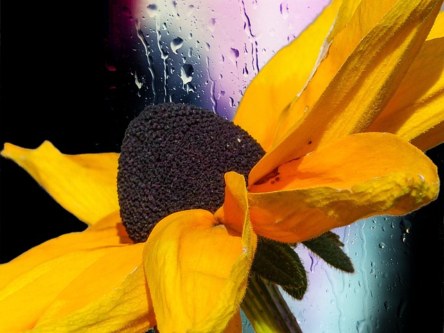 cone