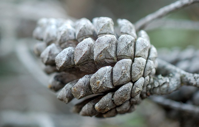 cones