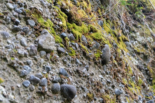 Hình ảnh minh họa ý nghĩa của từ conglomerate